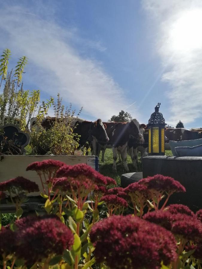 Petite Maison Sur La Colline Du Gibloux: 1Chambre,1 Salon Et Salle De Bain Prives Au Rez De Chausse, Piscine Exterieur Et Bbq , Le Chatelard  ภายนอก รูปภาพ